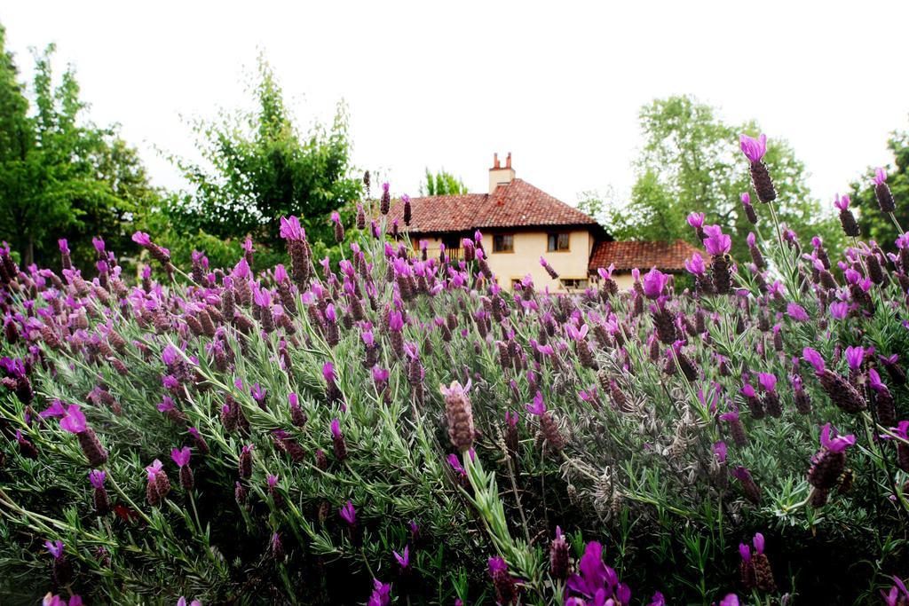 Rancho Caymus Inn Rutherford Экстерьер фото